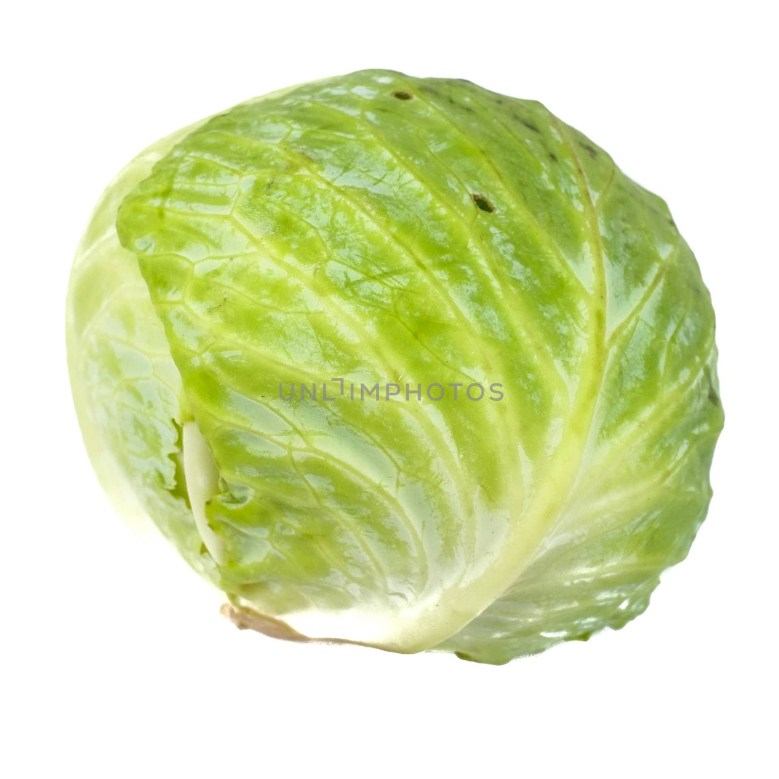 cabbage isolated on white background