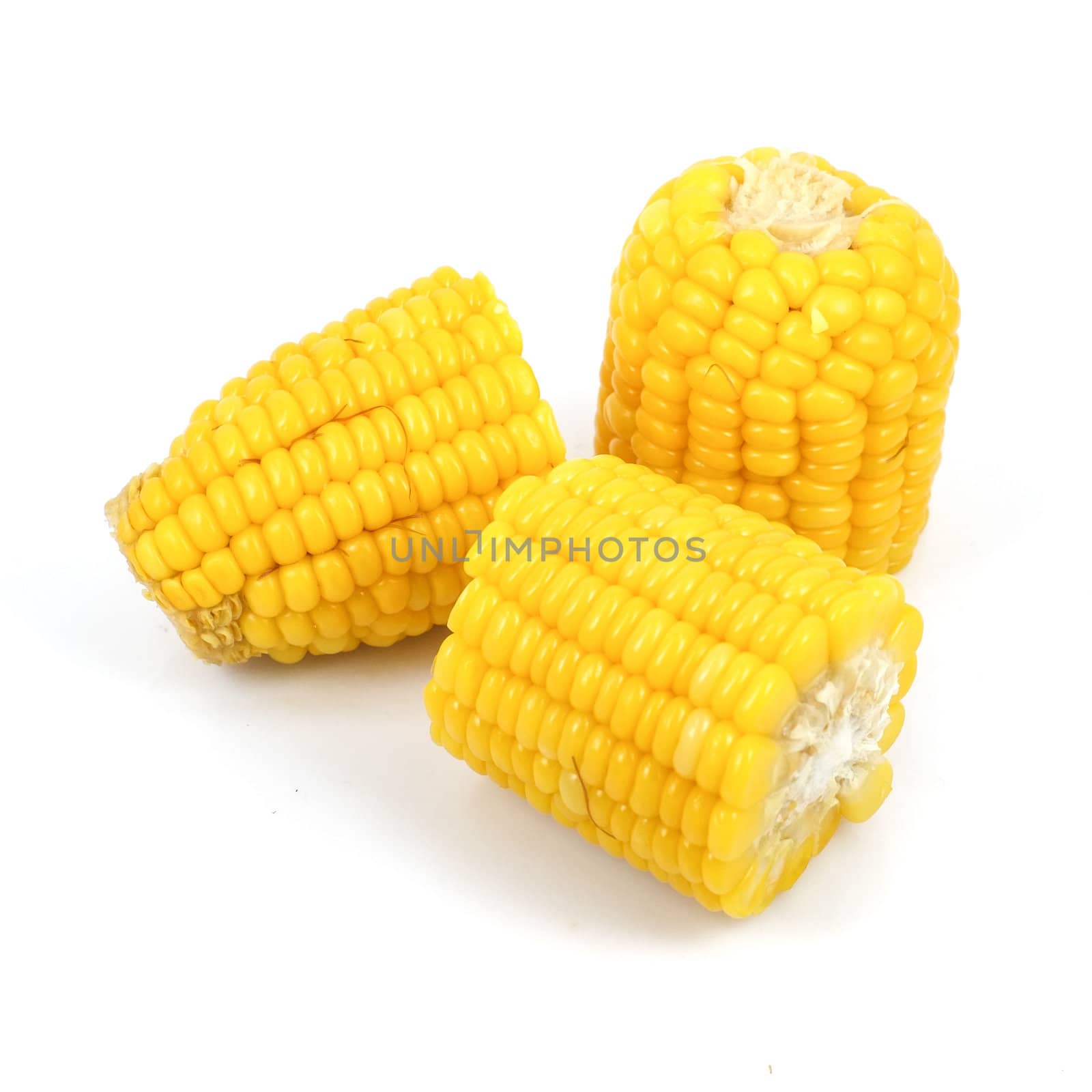 Boiled corn in white background