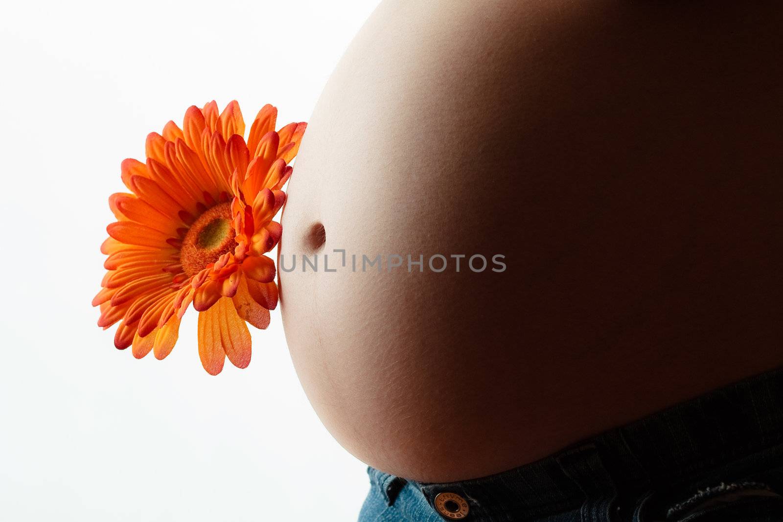Pregnant belly by Talanis