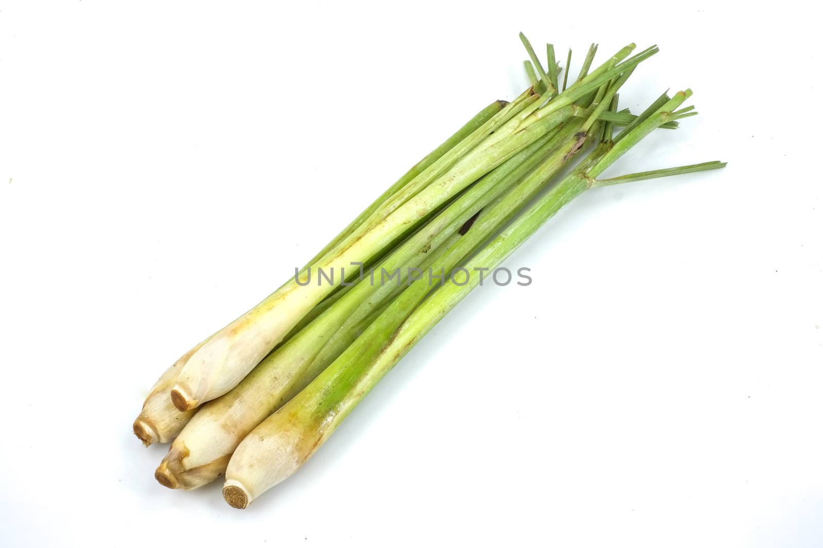 bundle of lemon grass isolated on white