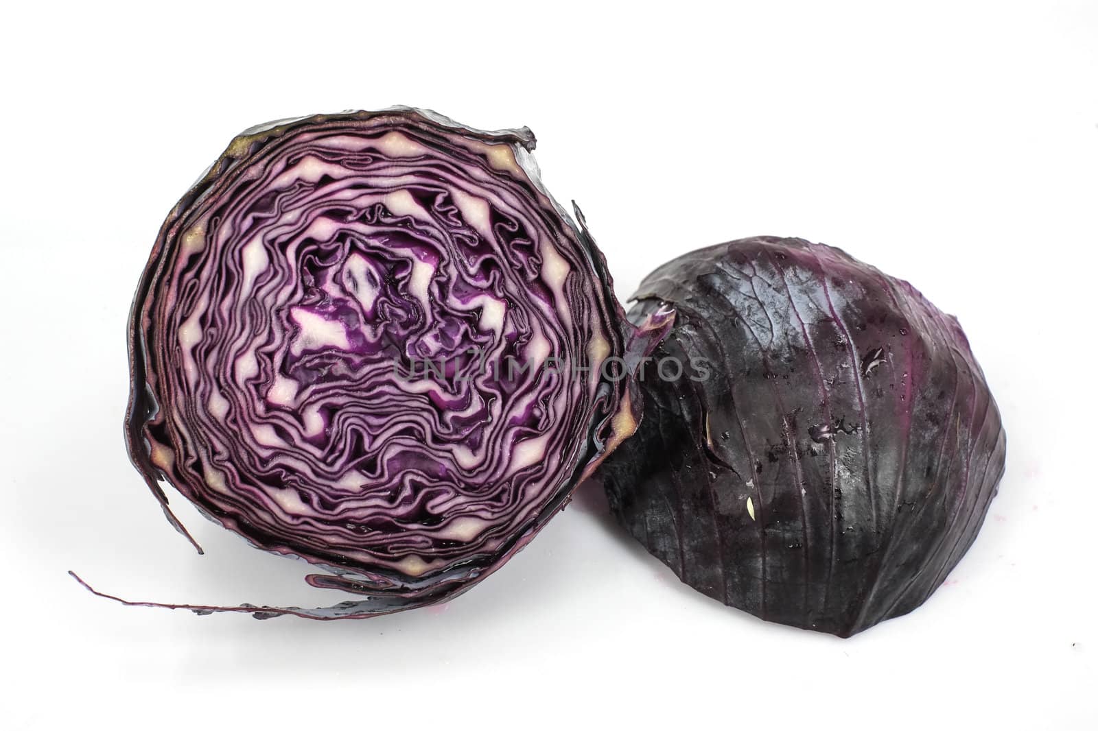 A head of purple cabbage on white background.