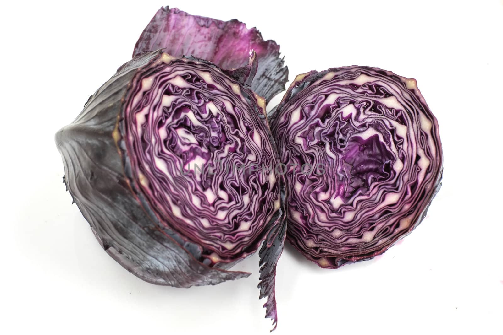 A head of purple cabbage on white background.