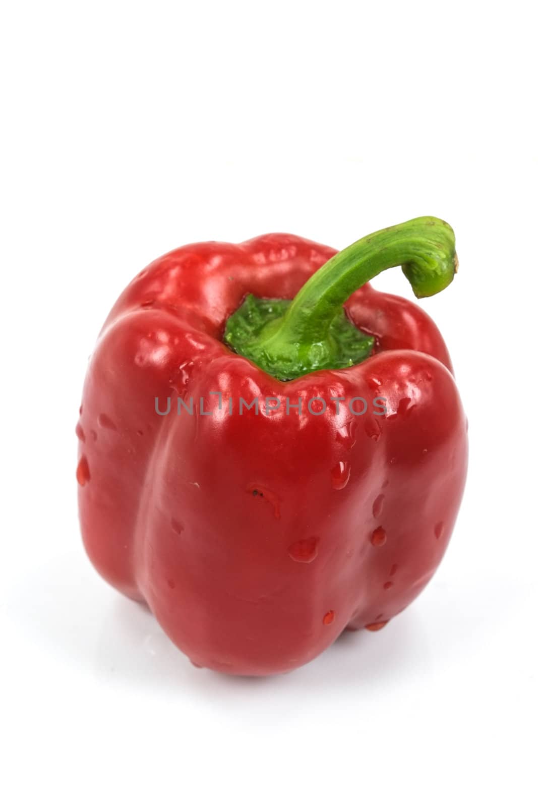 Colored paprika (pepper) isolated on a white background