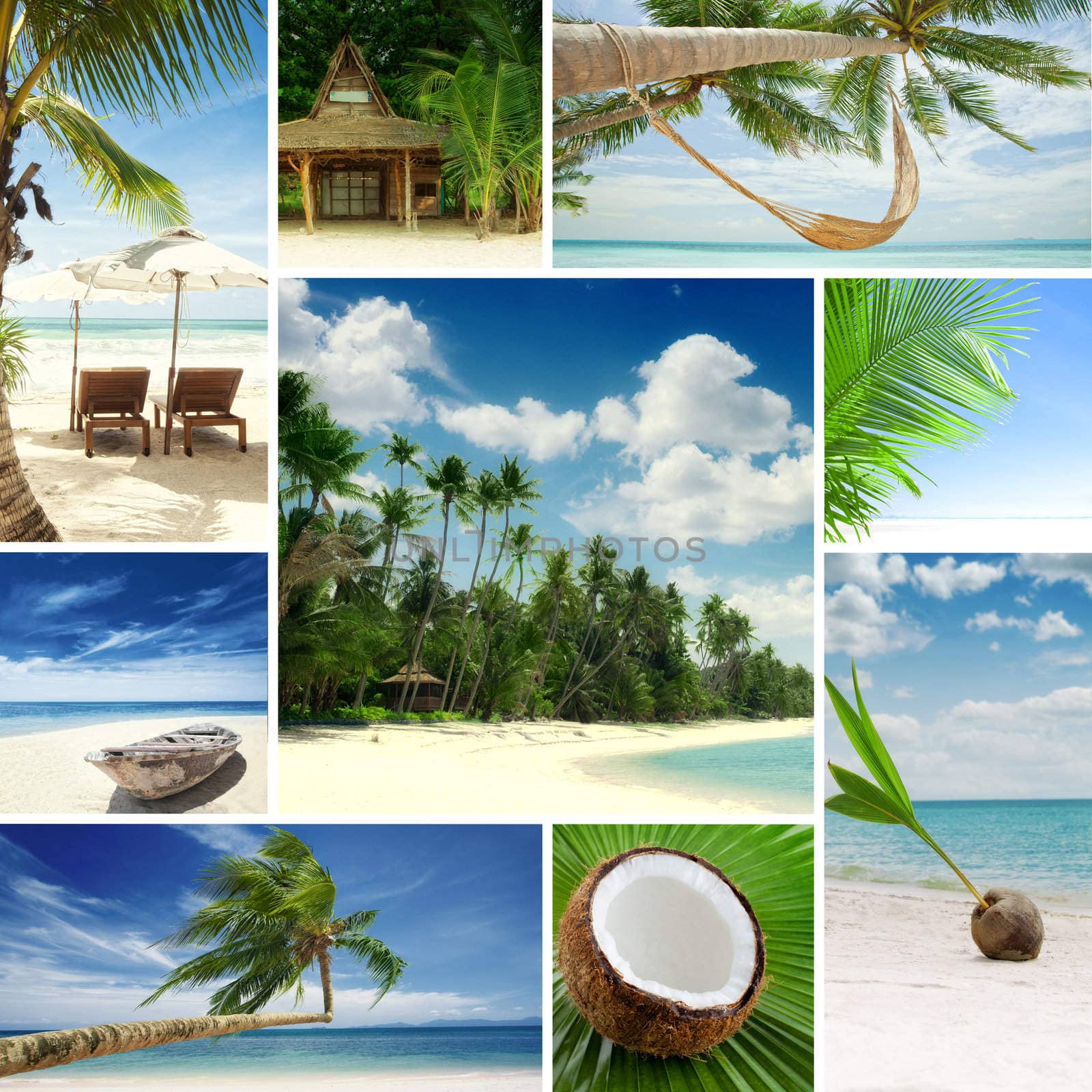 Tropic theme collage composed of different images