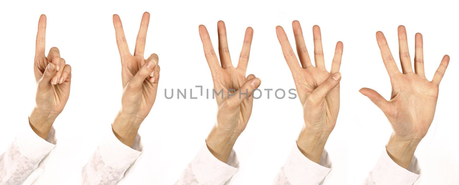 woman Fingers consider Numbers  from one up to five all together