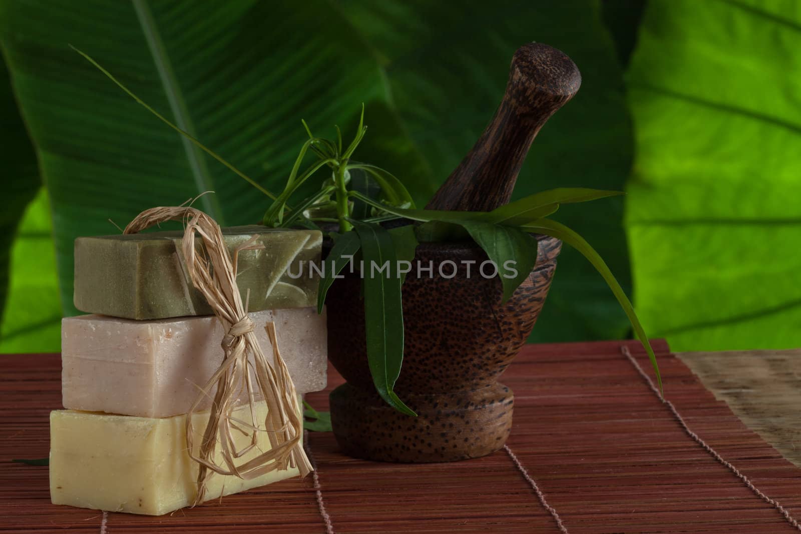 view of spa theme object on color background