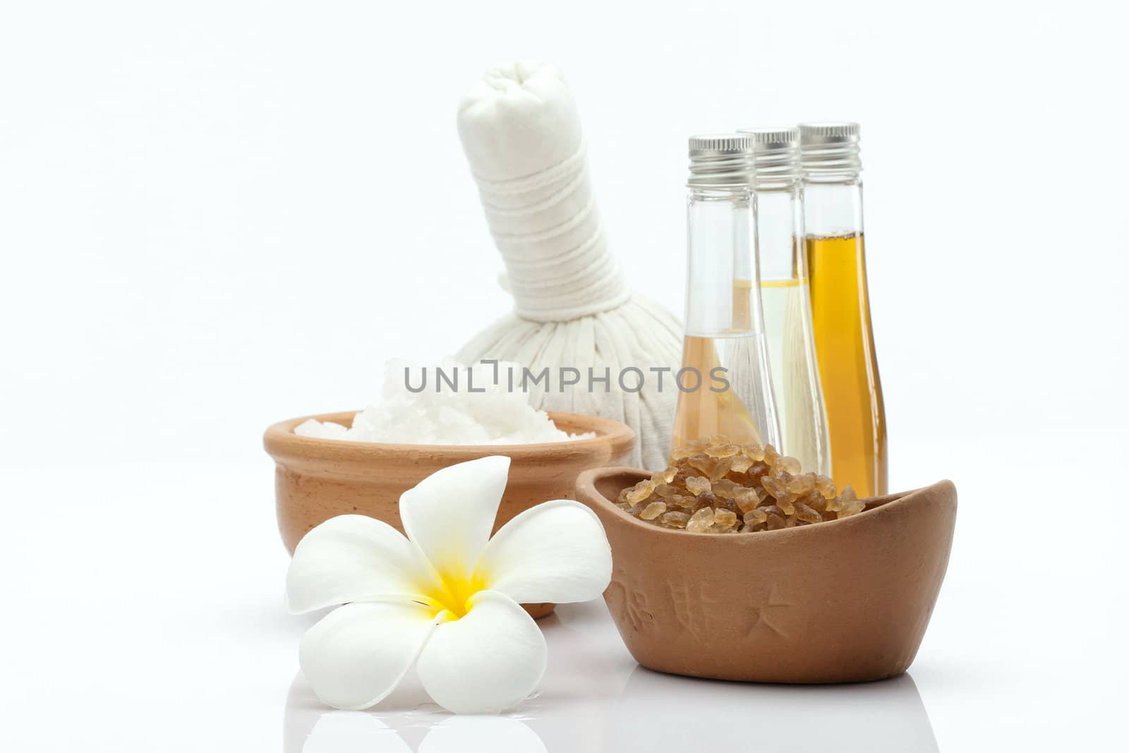 spa theme object on white background. banner. by ersler