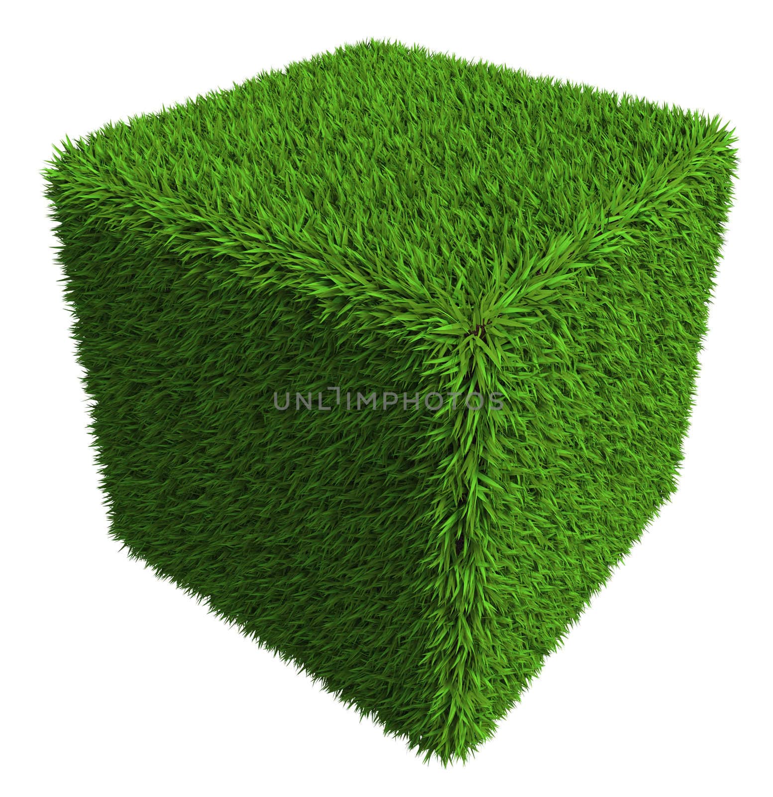 green grass cube isolated on white background. clipping path included