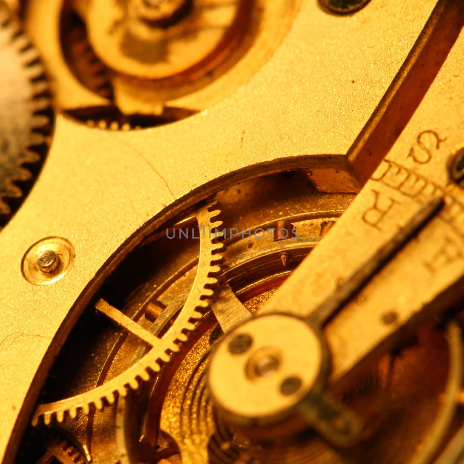 golden gear macro close up