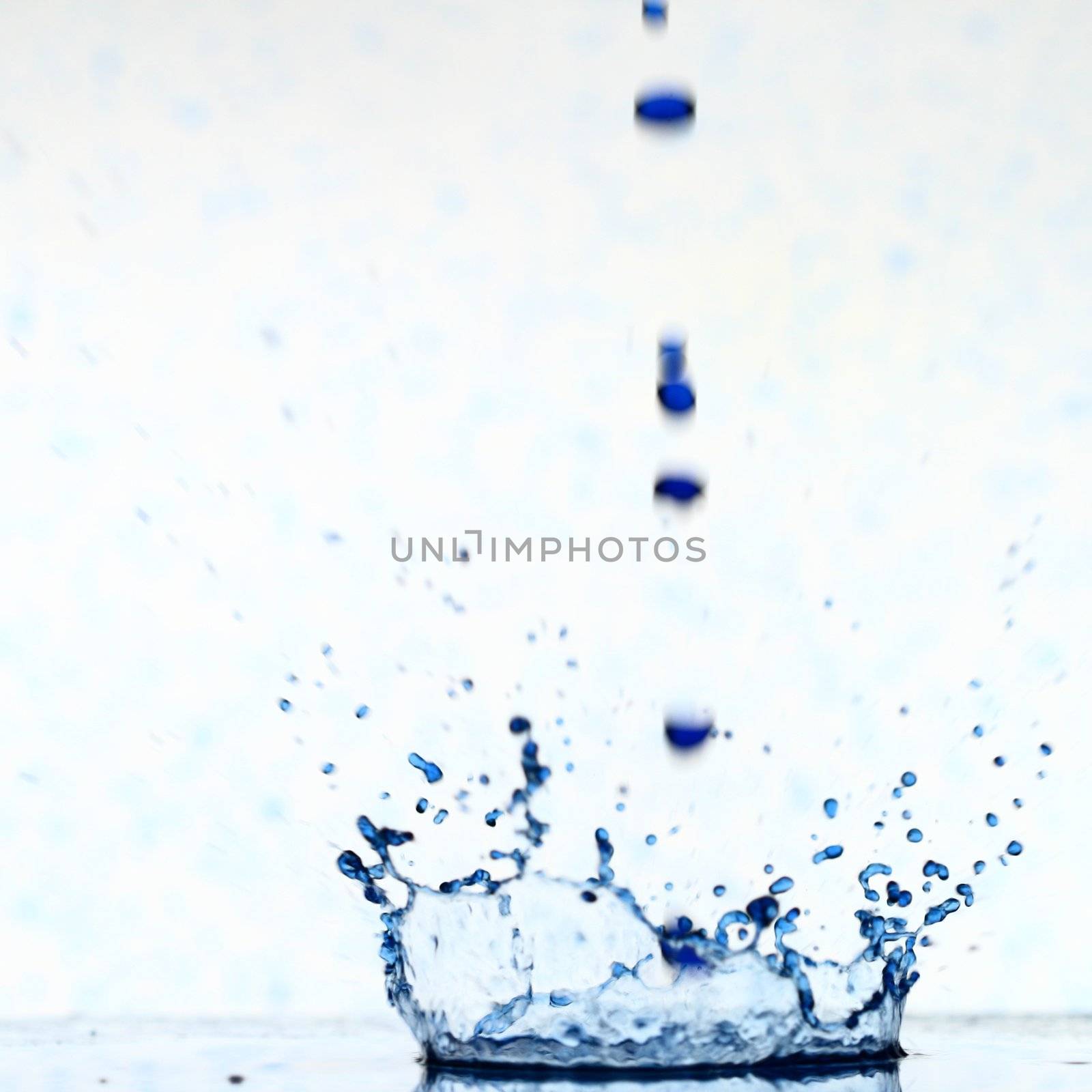 ink splash  macro on white