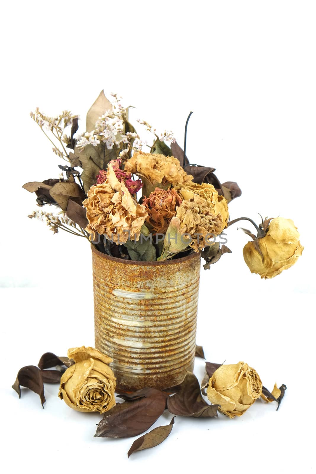 dry flowers in tin can by chayathonwong
