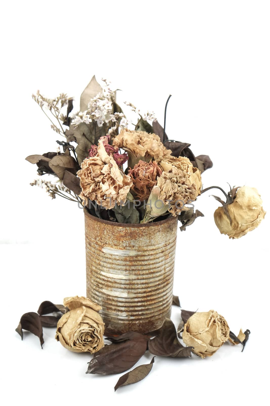 dry flowers in tin can by chayathonwong