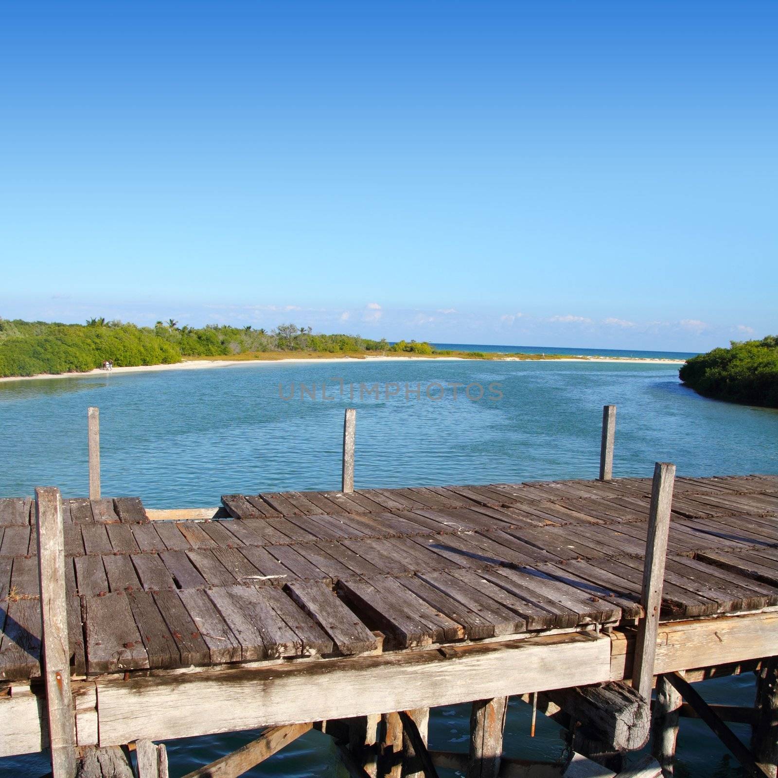 aged tropical wood bridge in Sian Kaan Tulum Mexico