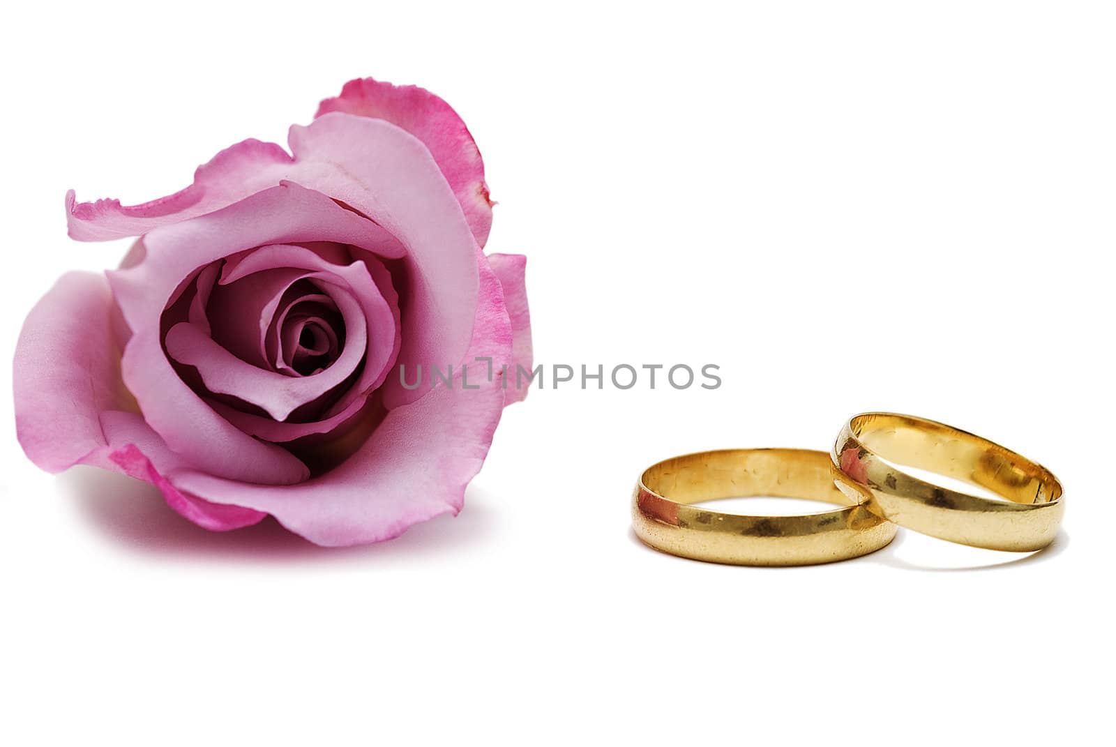 Pink rose and wedding rings over white. by angelsimon