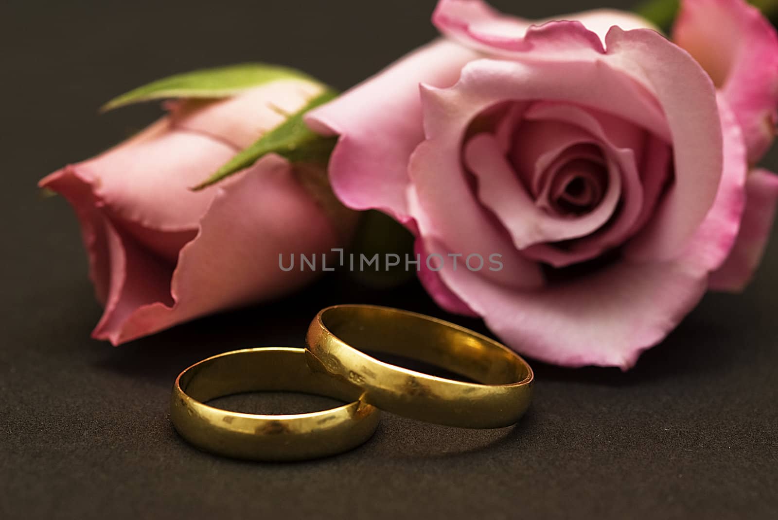 Wedding rings and roses. by angelsimon