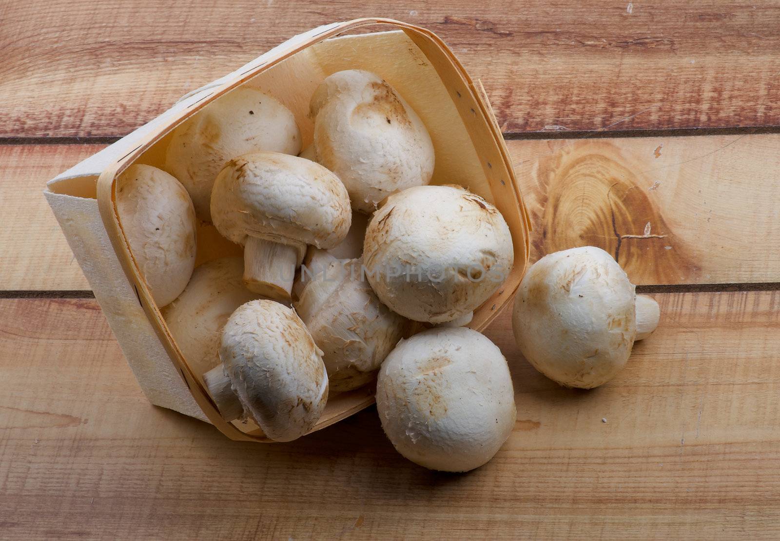 Heap of Perfect Raw Champignon Mushrooms Scattered of Basket closeup on Wooden background