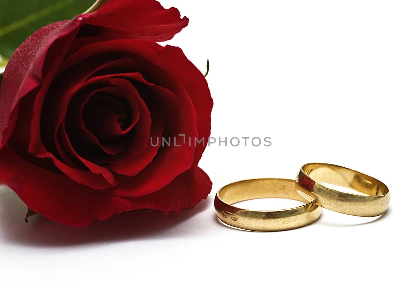 Golden wedding rings and fresh roses to say I love you.