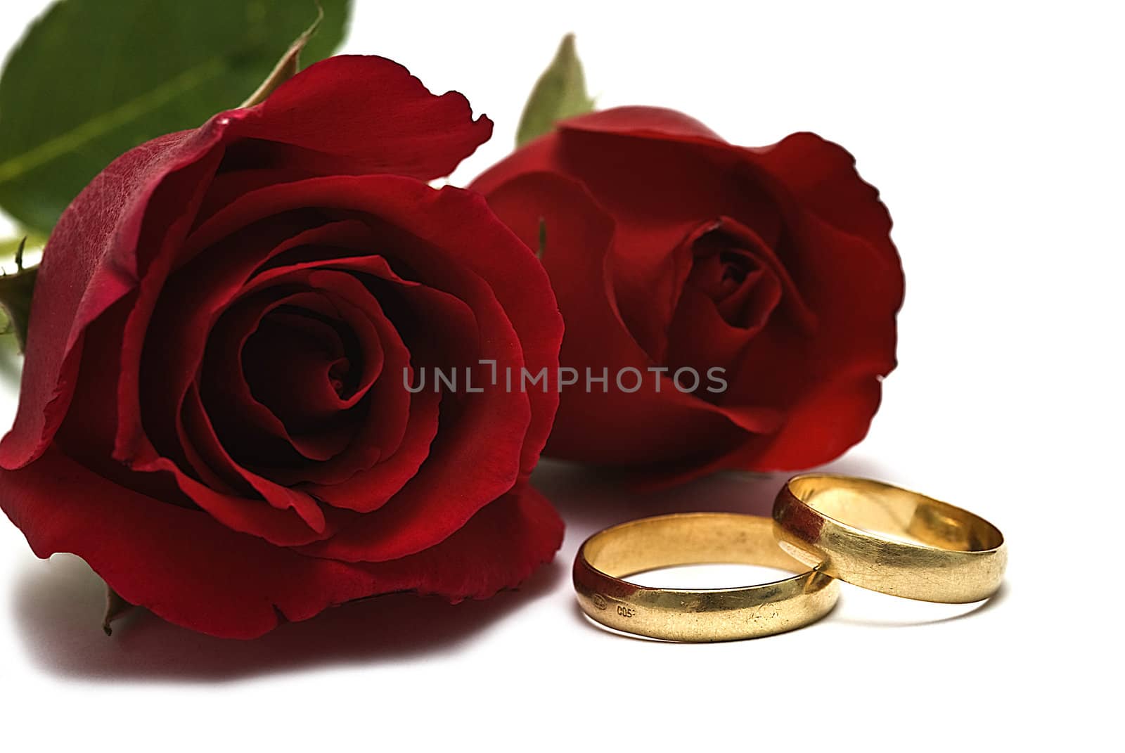 Golden wedding rings and fresh roses to say I love you.