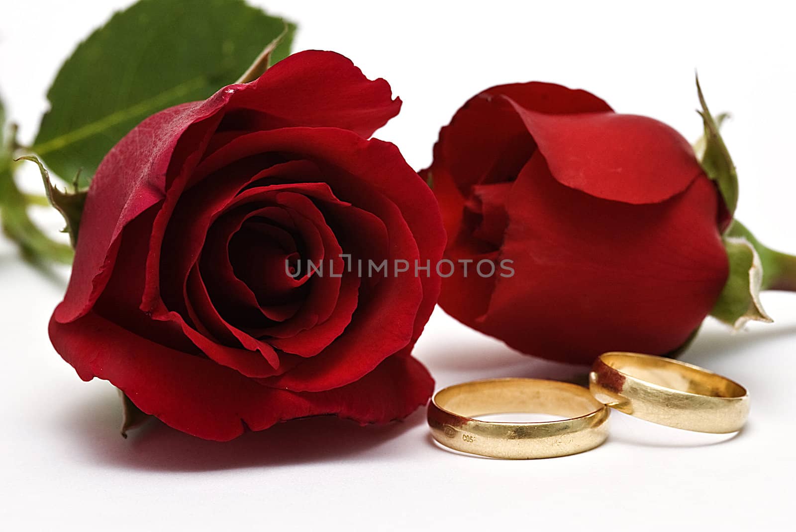 Wedding rings and red roses. by angelsimon