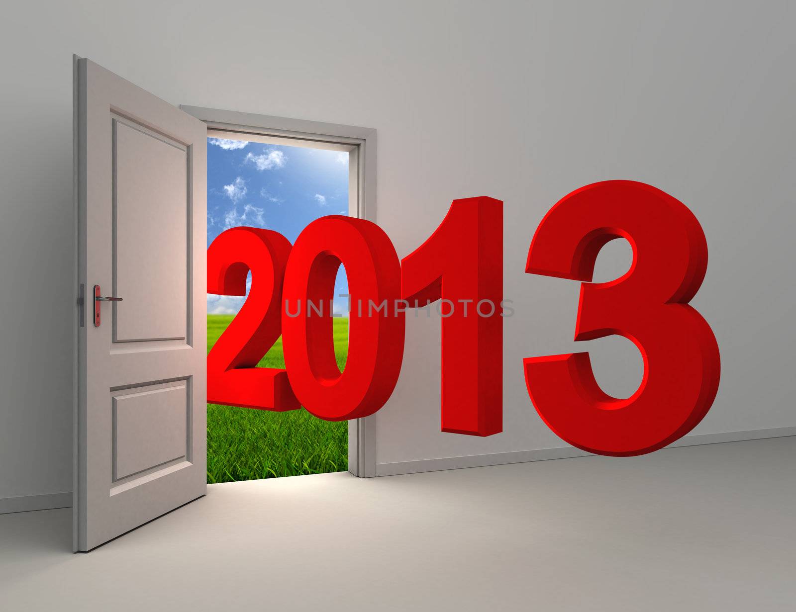 new year 2013 enter open white door with field and sky background