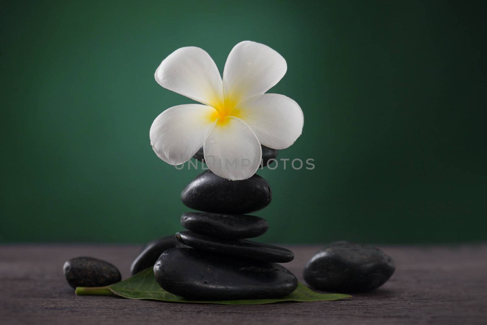 Stacked hot stones for massage spa and frangipani with green background

