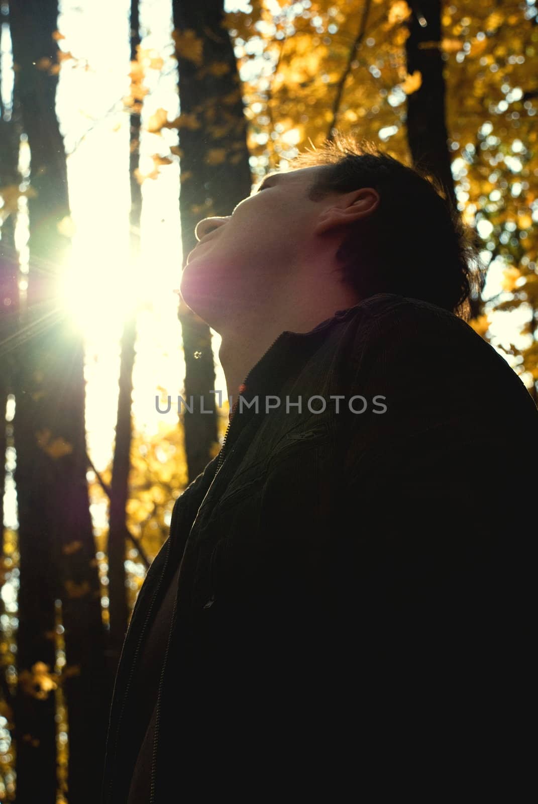 man looking at the sun in the autumn forest