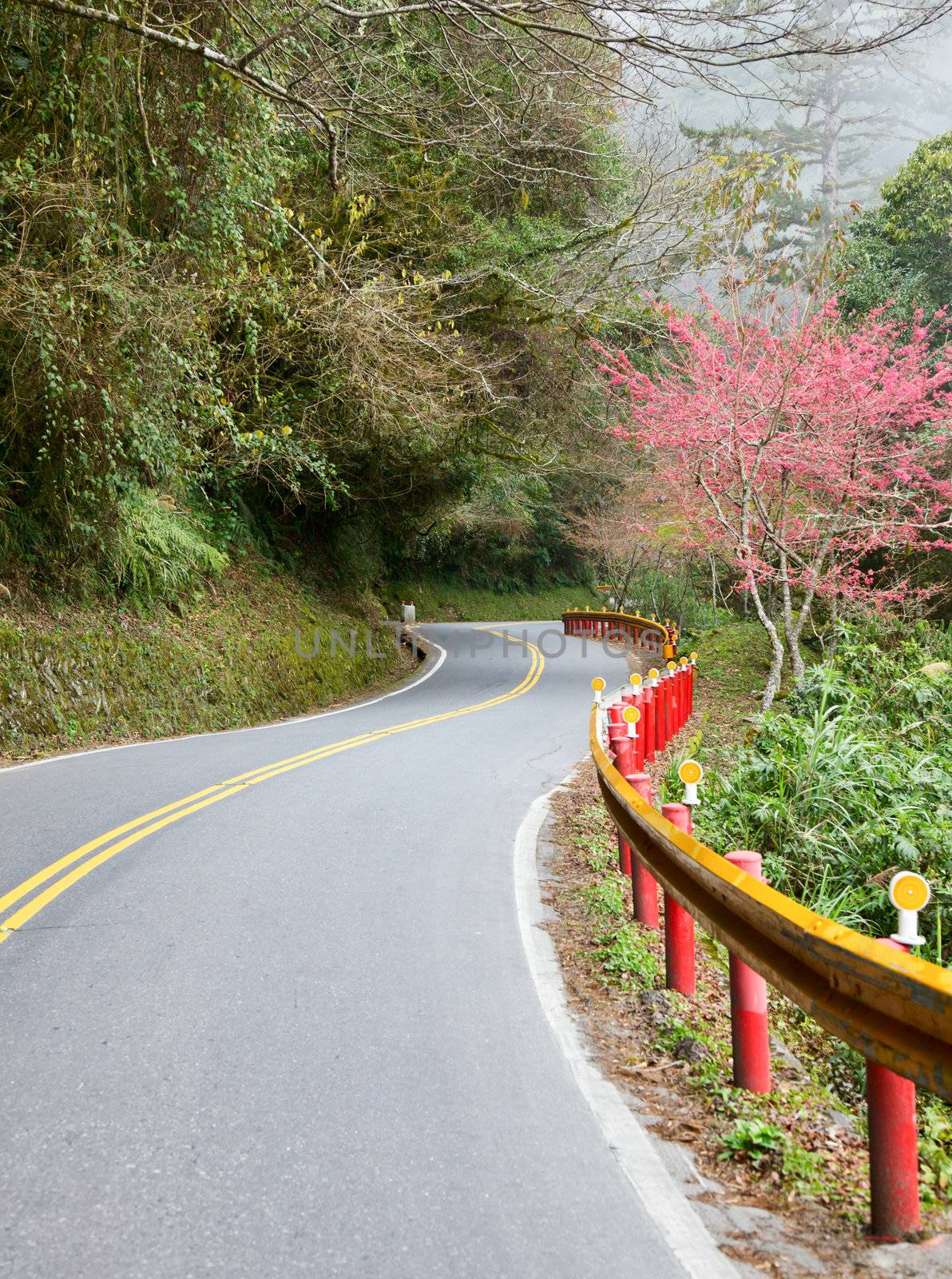 Scenic winding road in Taiwan