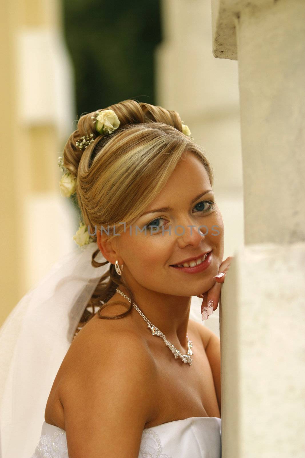 Portrait of the beautiful bride 