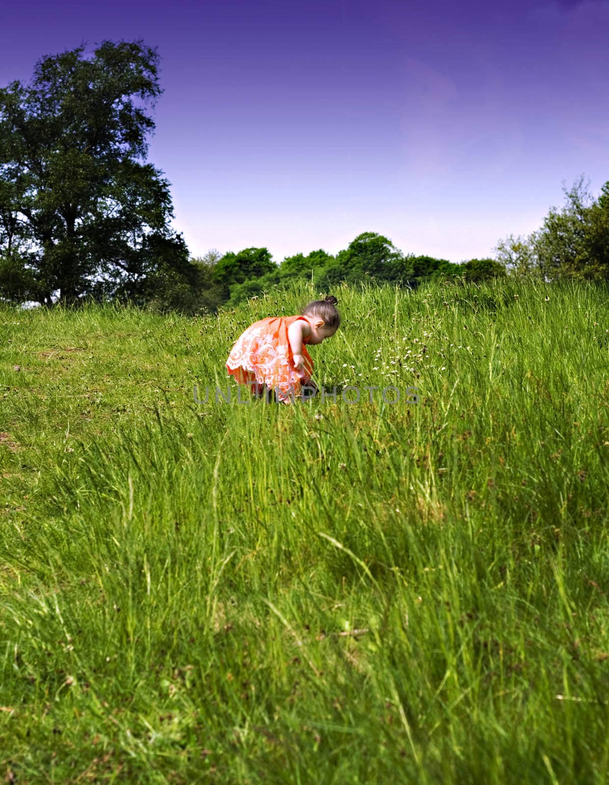 Baby girl picking flowers in the park