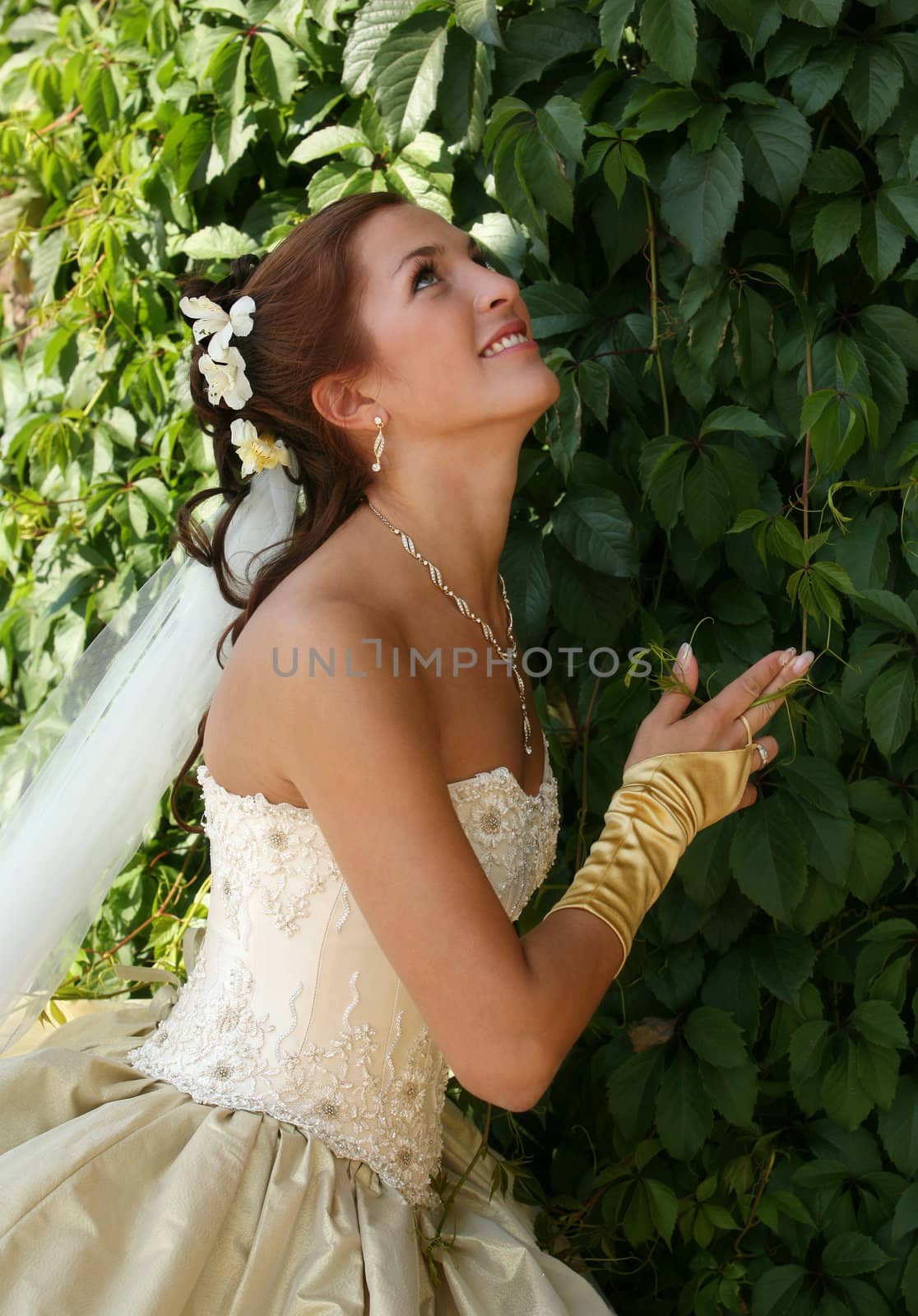 The beautiful bride on a green background