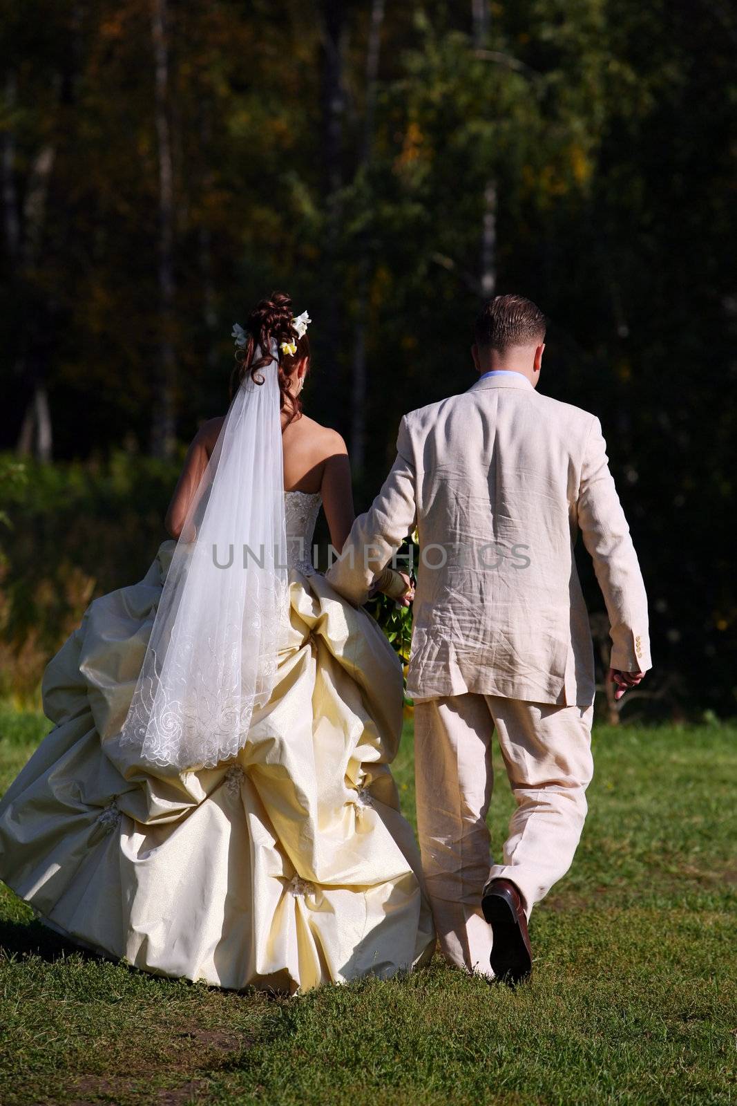 The bride and the groom in park