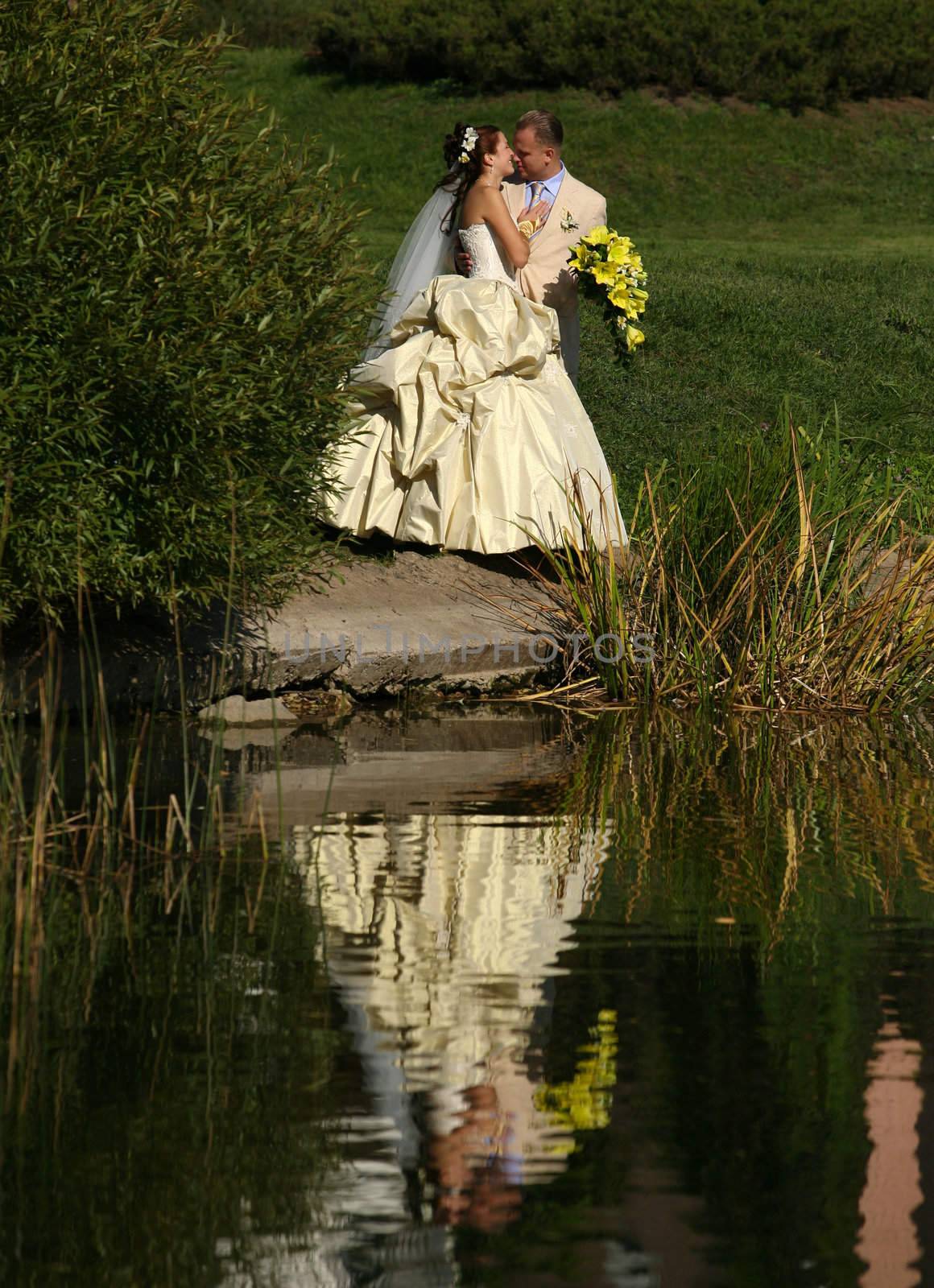 The groom and the bride on a coast of lake