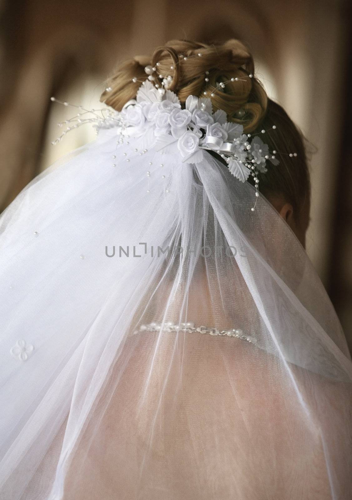 The beautiful bride in a veil 