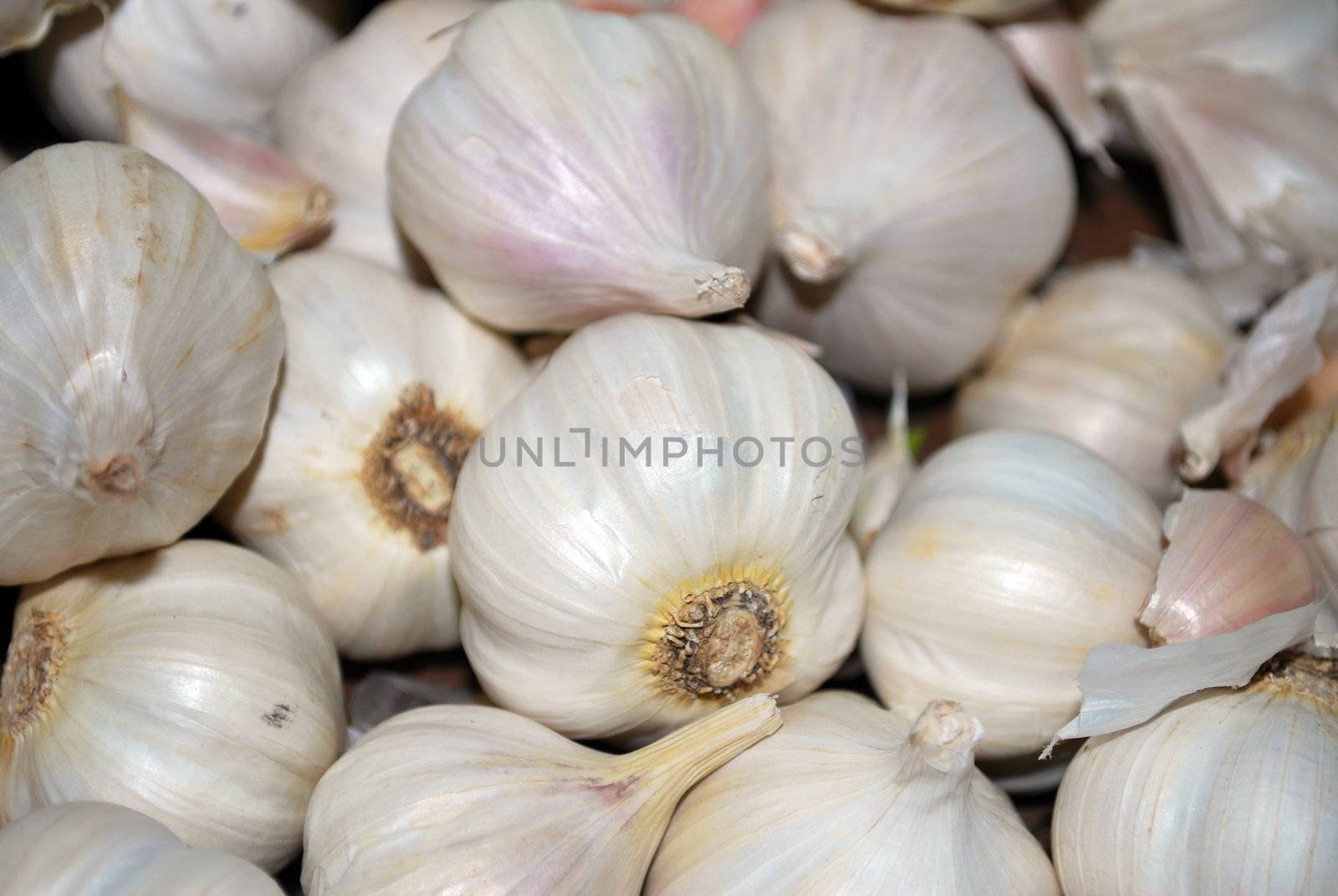 Garlic Bulbs by tony4urban
