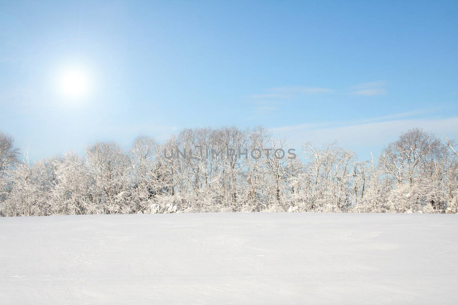 Winter Landscape by thephotoguy