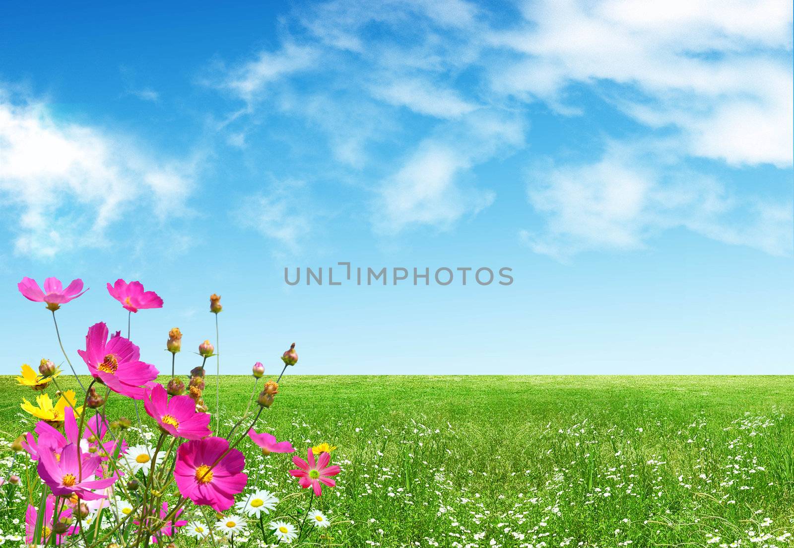 Spring flowers on nice background by git
