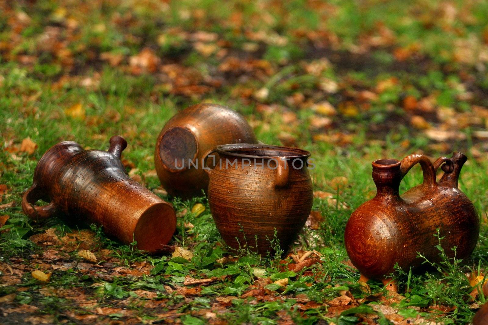Damp pots on a grass