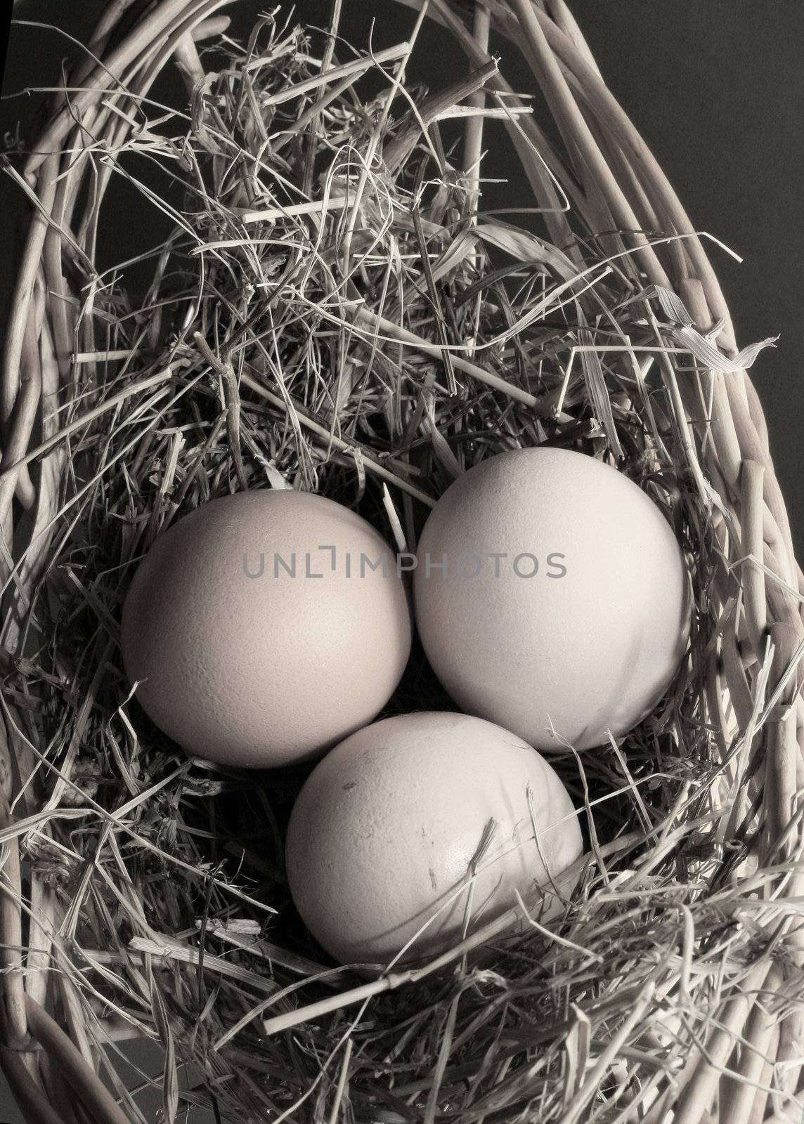 Three brown eggs latent in a dry grass
