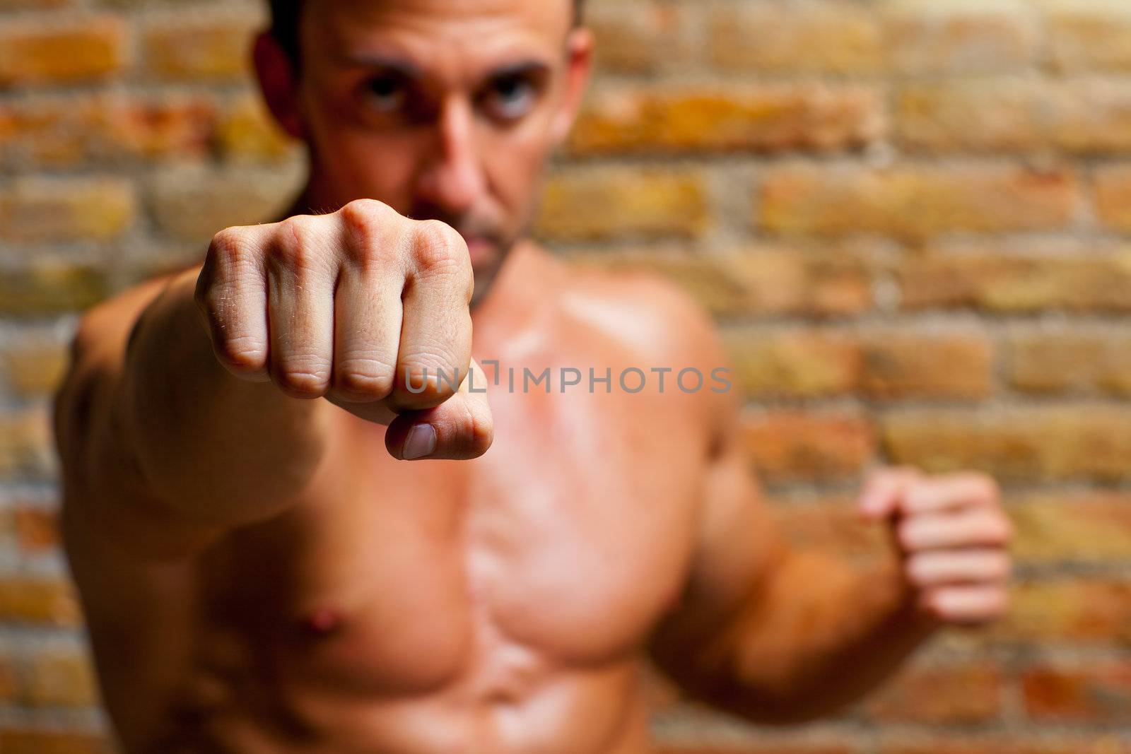 muscle boxer shaped man fist to camera on brickwall