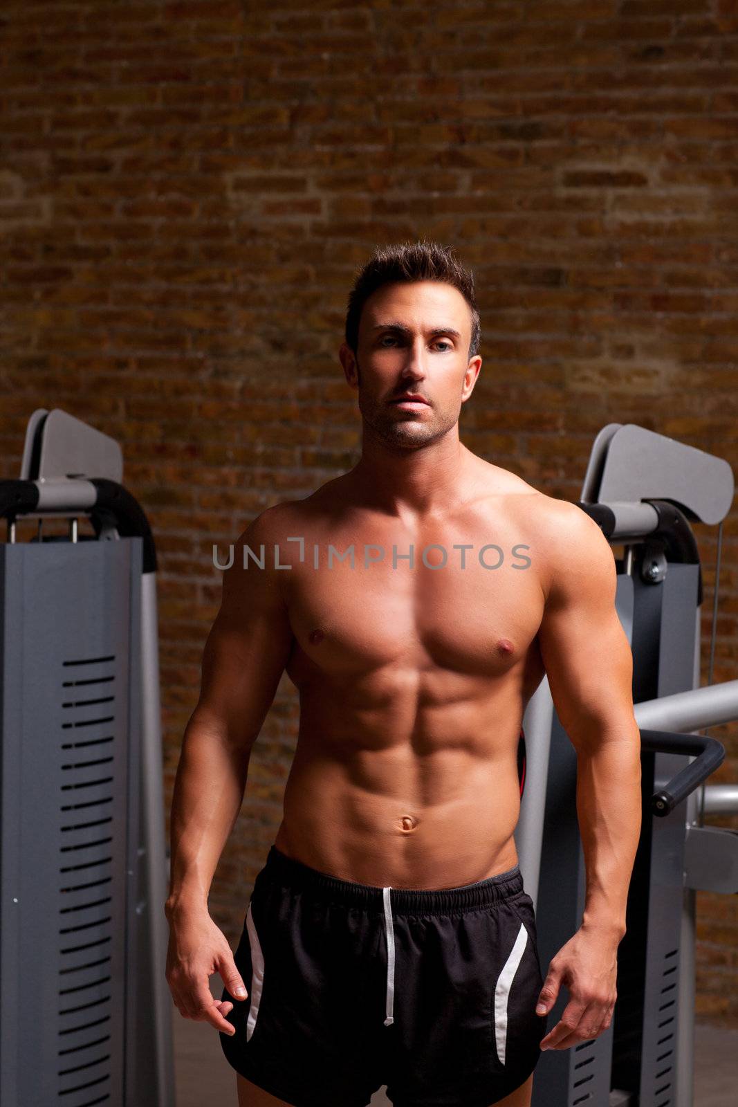 fitness shaped muscle man posing on dark gym