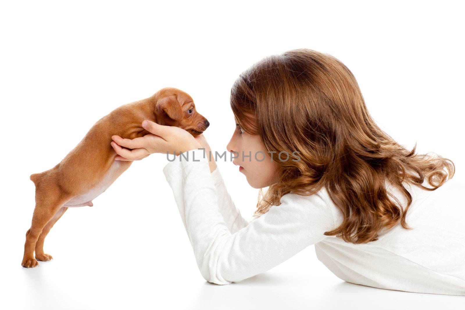 Brunette profile girl with dog puppy mascot mini pinscher on white background