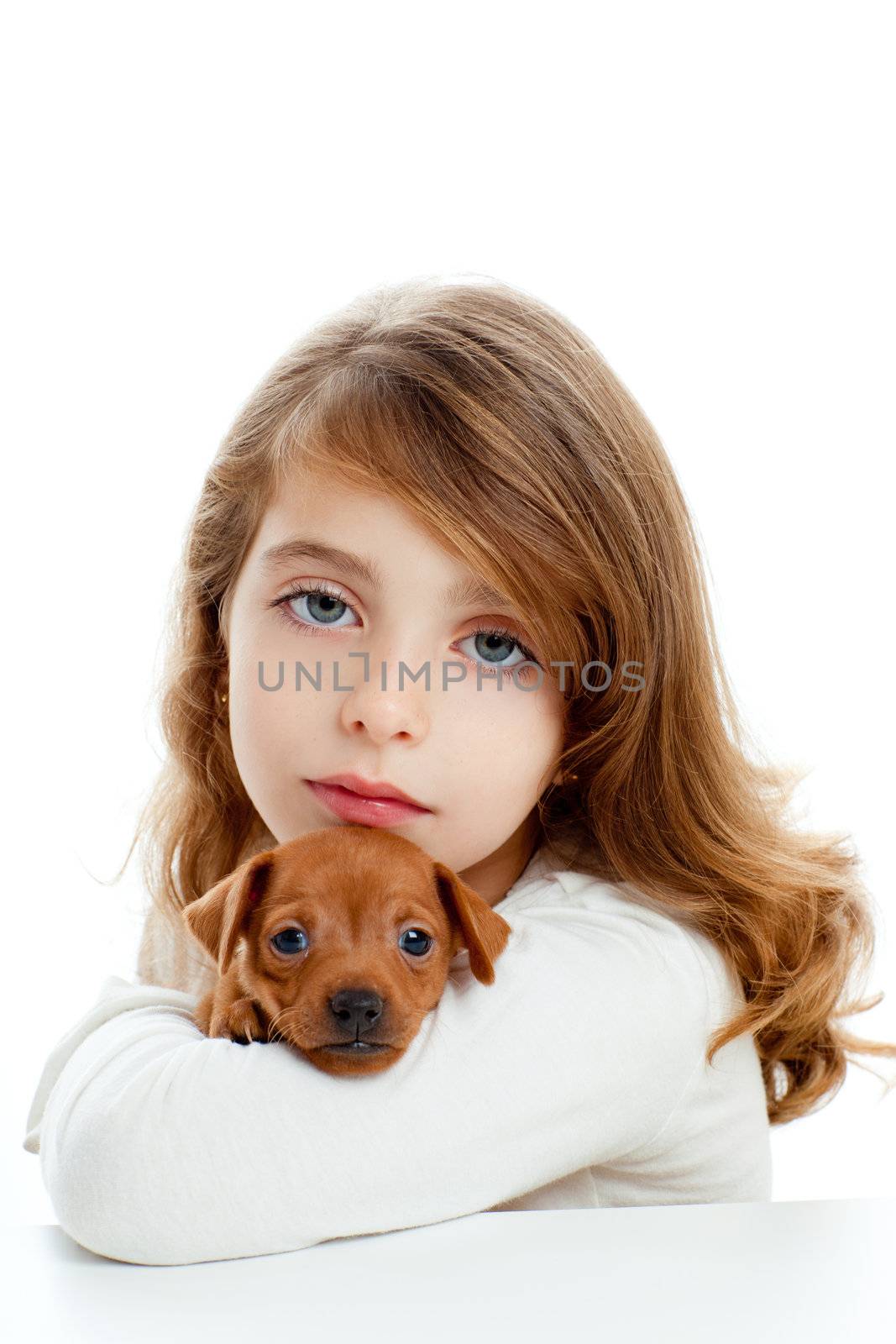 Brunette kid girl with puppy dog mascot mini pinscher on white background