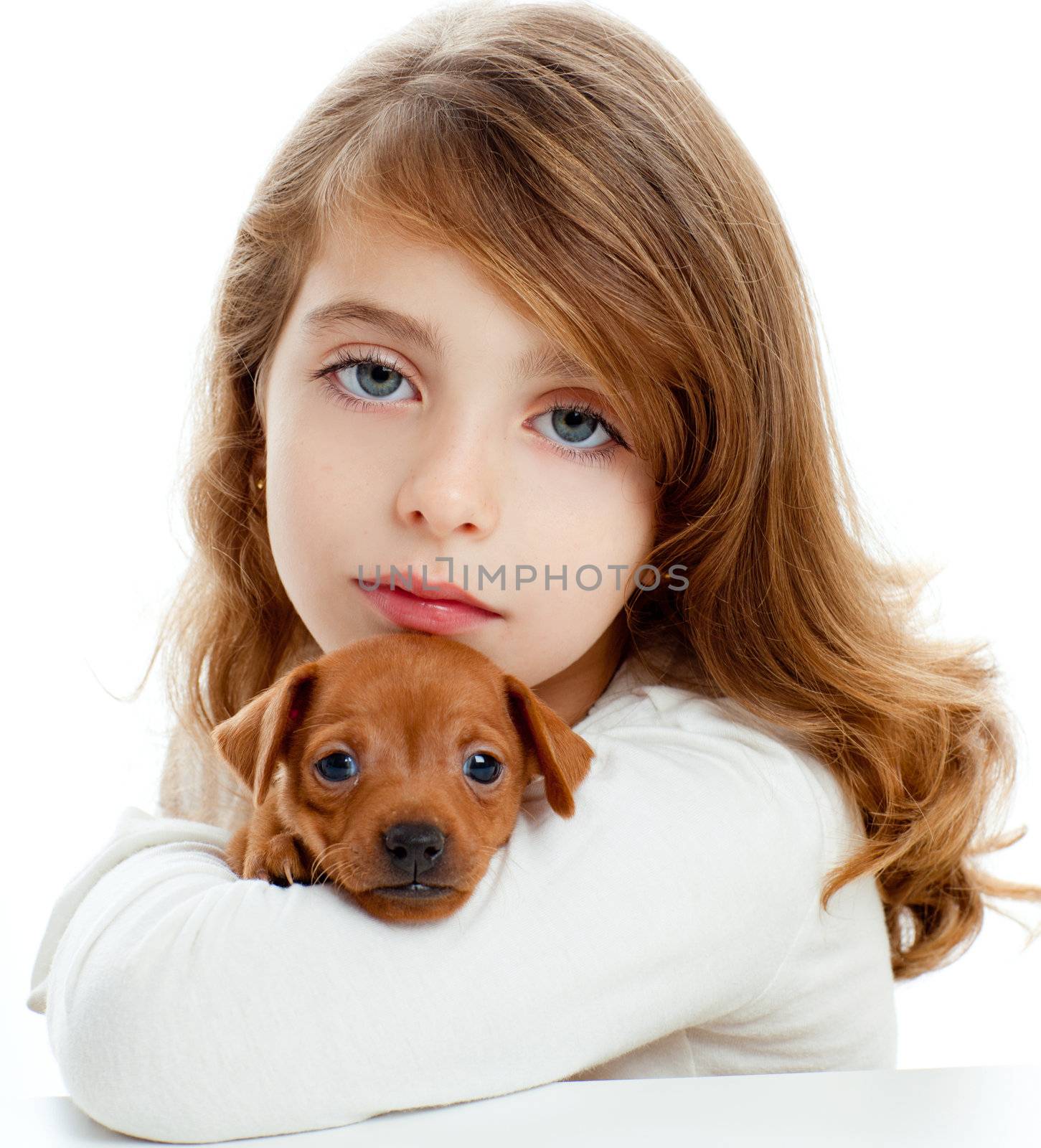 Brunette kid girl with puppy dog mascot mini pinscher on white background