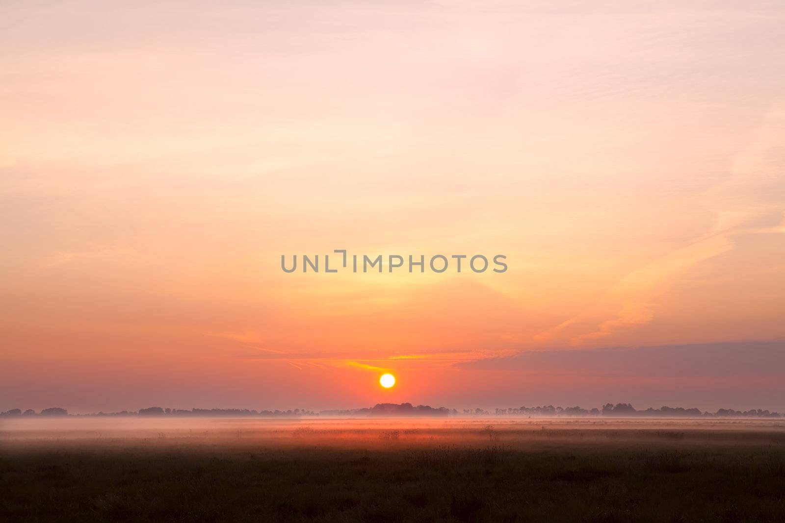 sunrise over fog on pasture in summer