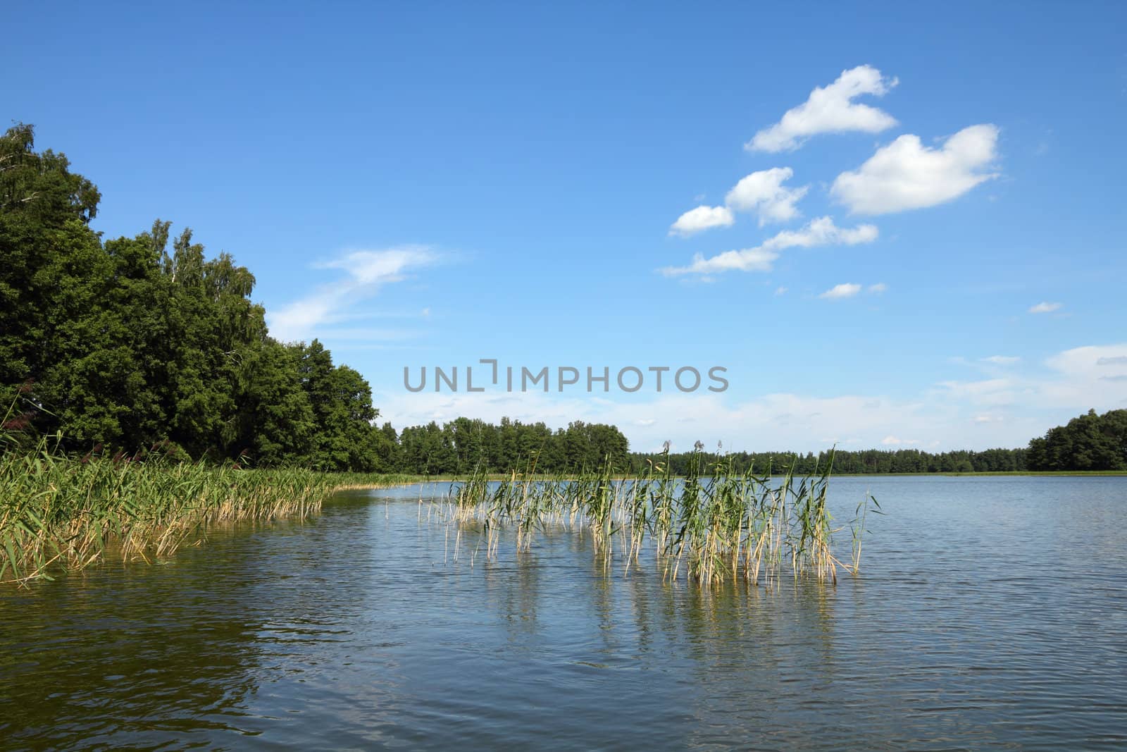 Masuria (Mazury) - famous lake district in Poland. Summer landscape in Europe. Wydminskie lake.