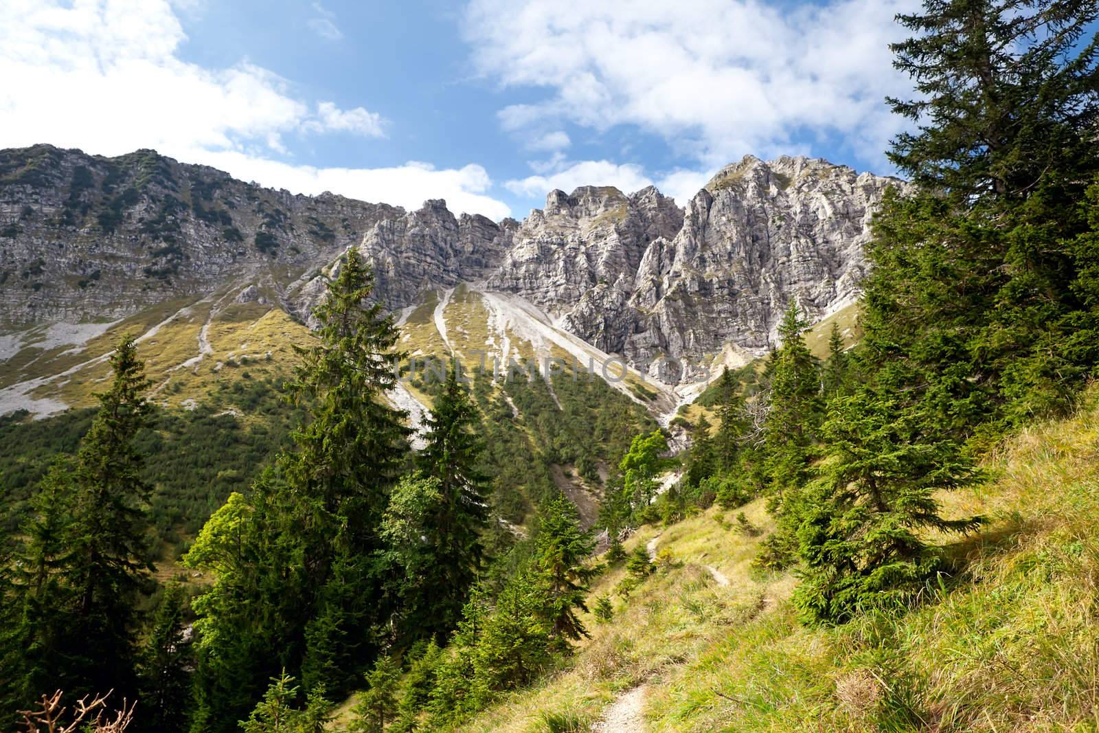 Bavarian Alps in summer by catolla
