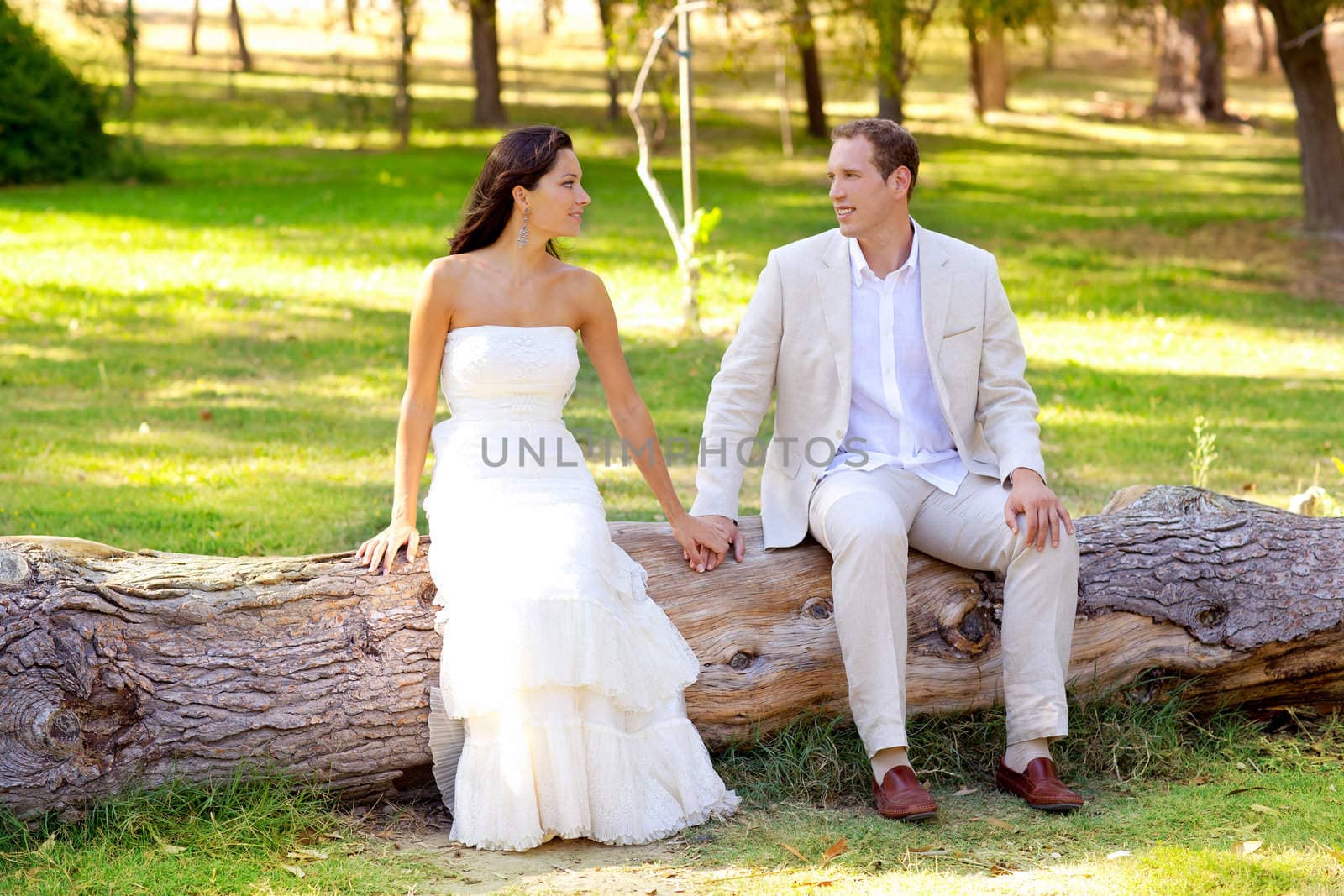 couple happy in love in outdoor park sitting in tree trunk