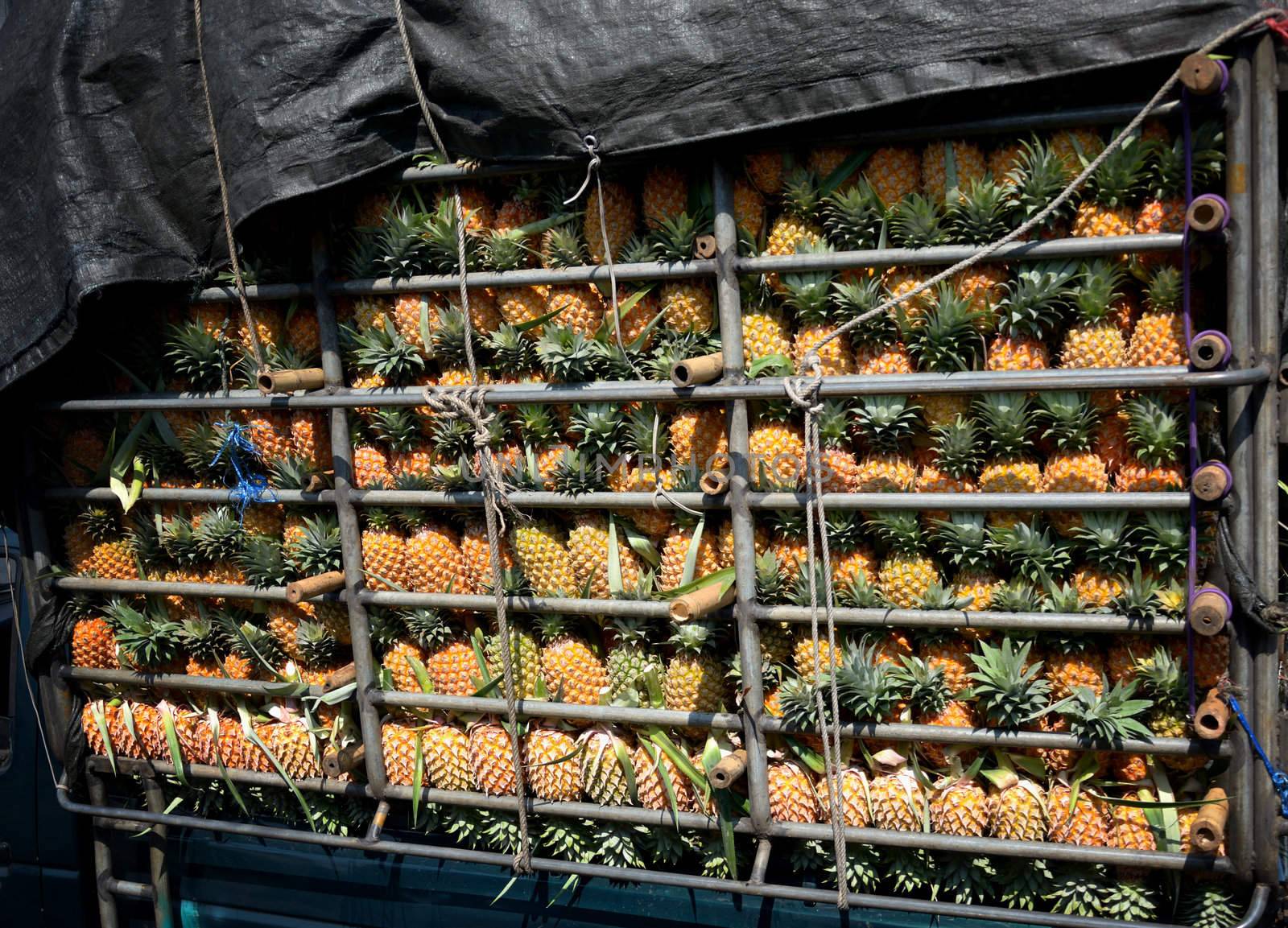 Pineapple in truck, Fruit concept