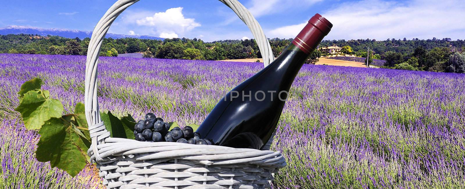 mage shows a lavender field in the region of Provence, southern France