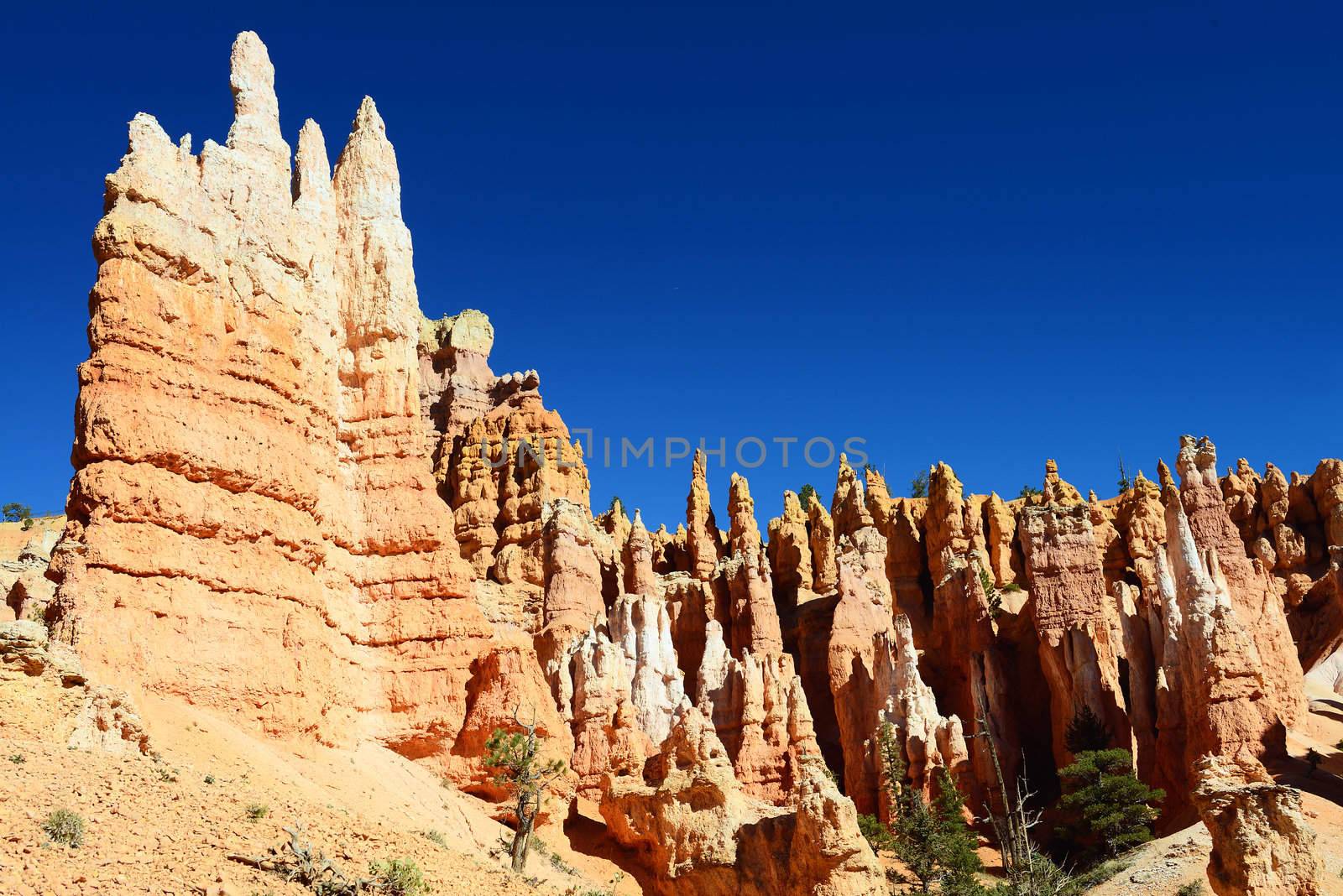 spectacular Hoodoo rock spires of Bryce Canyon, Utah, USA